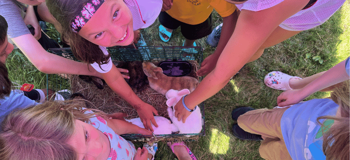 Kids surround a cage with baby bunnies, smiling and reaching for them.